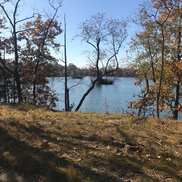 Meet your Posher, Lauryce - Picture 9 of 13